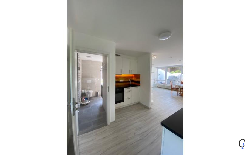 Blick in den Wohnraum neu
