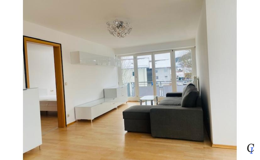 Blick in den Wohnbereich