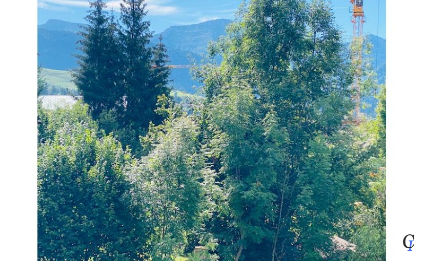 Blick vom Balkon 10 - Kopie (2)